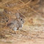 探索大家乐娱乐平台的多样化游戏体验与乐趣 1jq0dnrx29