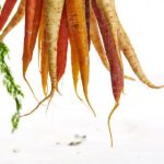 探索名人彩票平台:明星代言背后的秘密与机遇 51124p