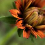 探索优德亚洲官网:全方位了解在线博彩平台的优势与特色 75x8pw86eq