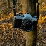 探索大奖888游戏平台:畅享无与伦比的游戏体验与丰厚奖励 pyyaviy